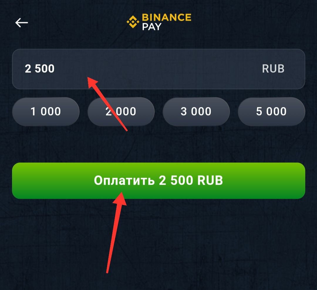 Ввод и оплата игровых автоматов через Binance Pay